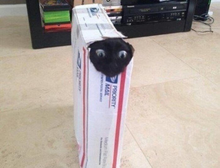 картинка с сайта: interesno-e.ru