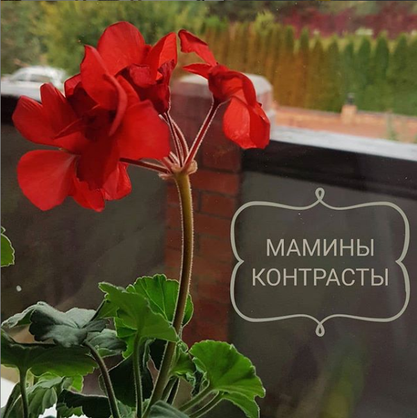 Плохая хорошая мама