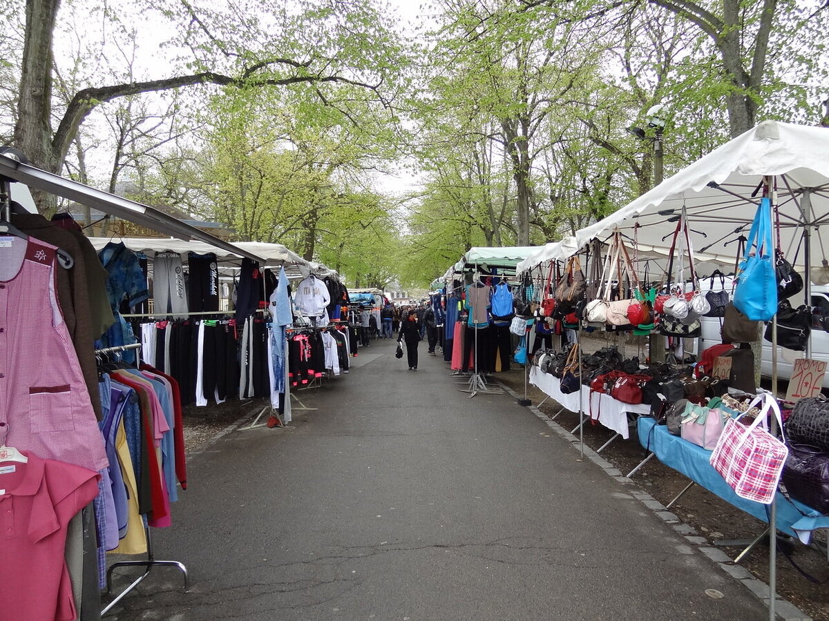 Фото  из открытого  доступа. РЕАЛЬНАЯ  АВТОРСКАЯ  ИСТОРИЯ