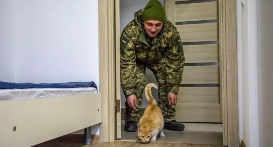 Для военнослужащих и членов их семей установлены нормы, единые для всей территории РФ — 18 кв. м на человека. Но и здесь есть условия, по которым жилплощадь может быть увеличена.