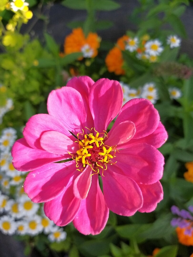                                                                                                 Фото автора статьи