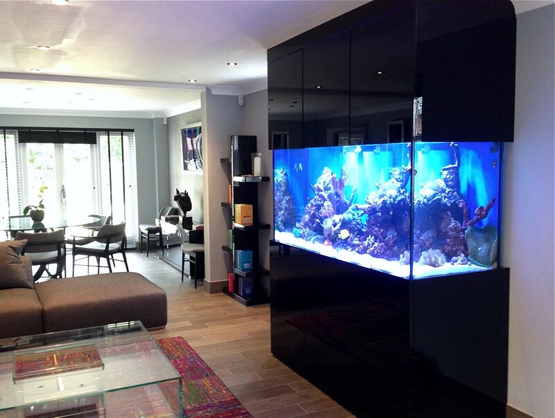 Аквариум в гостинной