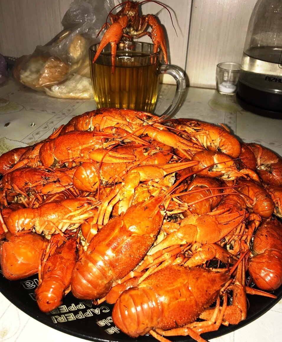 А вот и результат моей ночной ловли раков