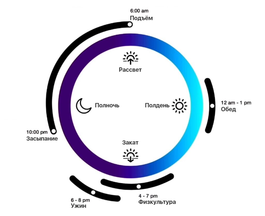 Идеальный и здоровый режим дня