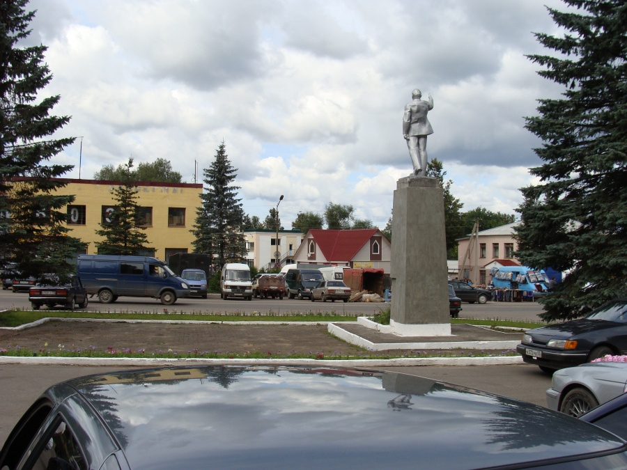 Посёлок городского типа демянск. Демянск новгородская область. Демянск новгородская. Фото демянска. Фото демянска.