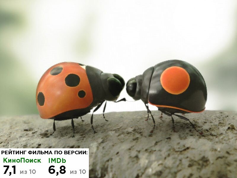 Кадр из мультфильма