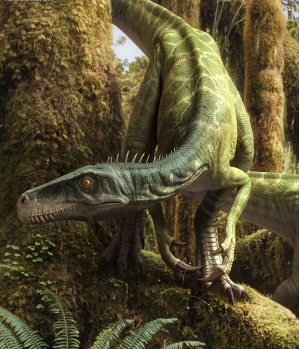 Динозавр Herrerasaurus ischigualastensis   http://k16.kn3.net/taringa/3/9/1/9/1/9/8/ivanleo/E94.jpg?9048