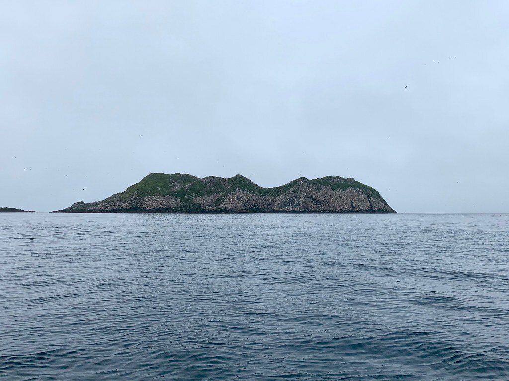 1.


