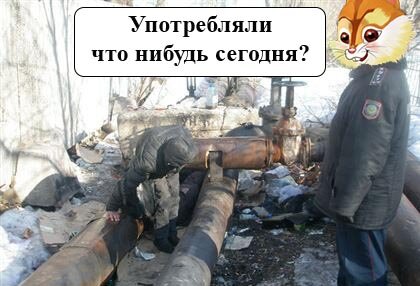 Социальный опрос от белочки