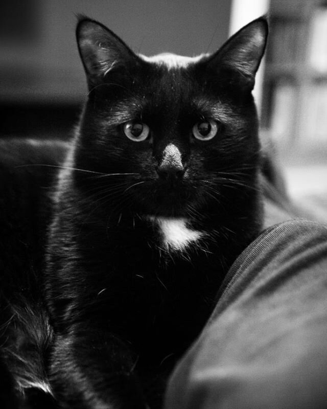 Личное фото