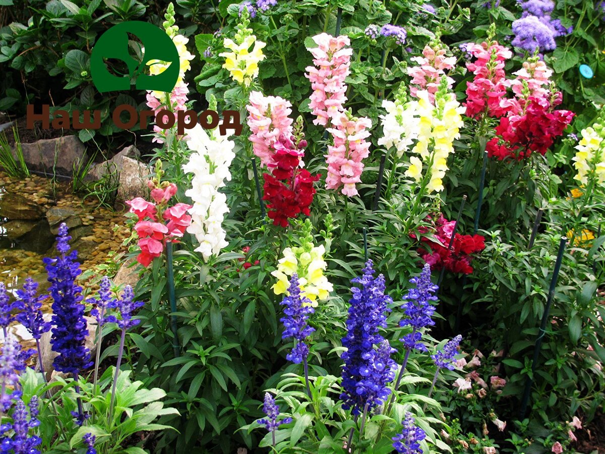 Сочетайте, творите и наслаждайтесь!