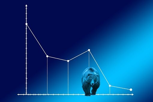 https://cdn.pixabay.com/photo/2019/04/27/00/49/bear-market-4159033__340.jpg
