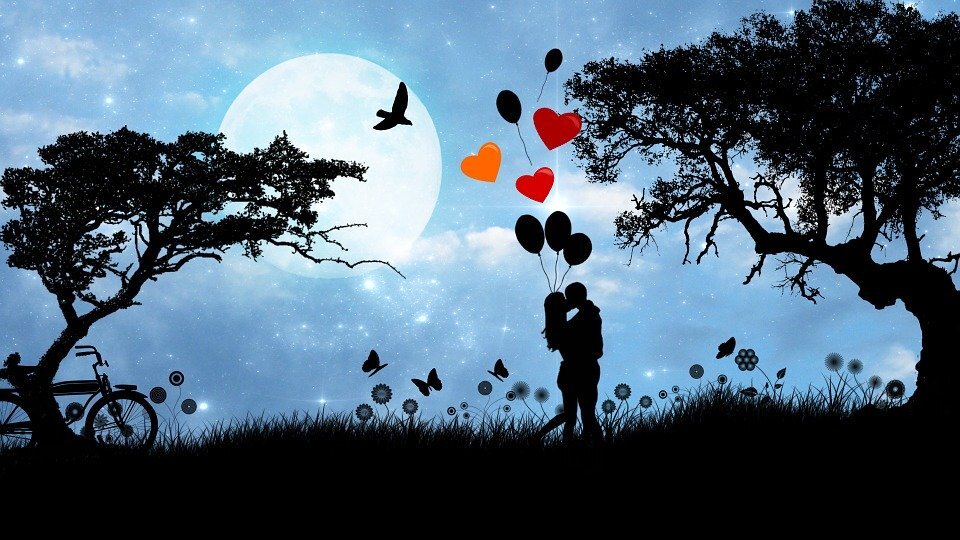 https://cdn.pixabay.com/photo/2014/12/08/11/49/love-560783_960_720.jpg