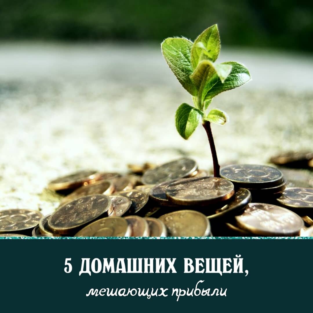 Если вы хотите разбогатеть, от этих пяти вещей необходимо избавляться как можно скорее.
⠀
Существуют вещи, которые на первый взгляд никак не связаны с денежной удачей, но на самом деле излучают отрицательную энергию. Выискивайте и выселяйте эти предметы из своих жилищ, готовьте дом к достатку в новом году.
⠀
А я пошла перебирать свои носки, кто со мной? 😆