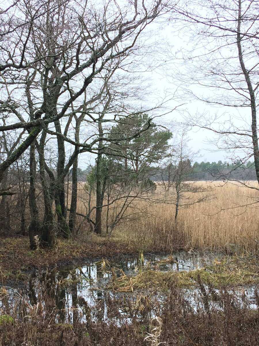 Унылый референс.