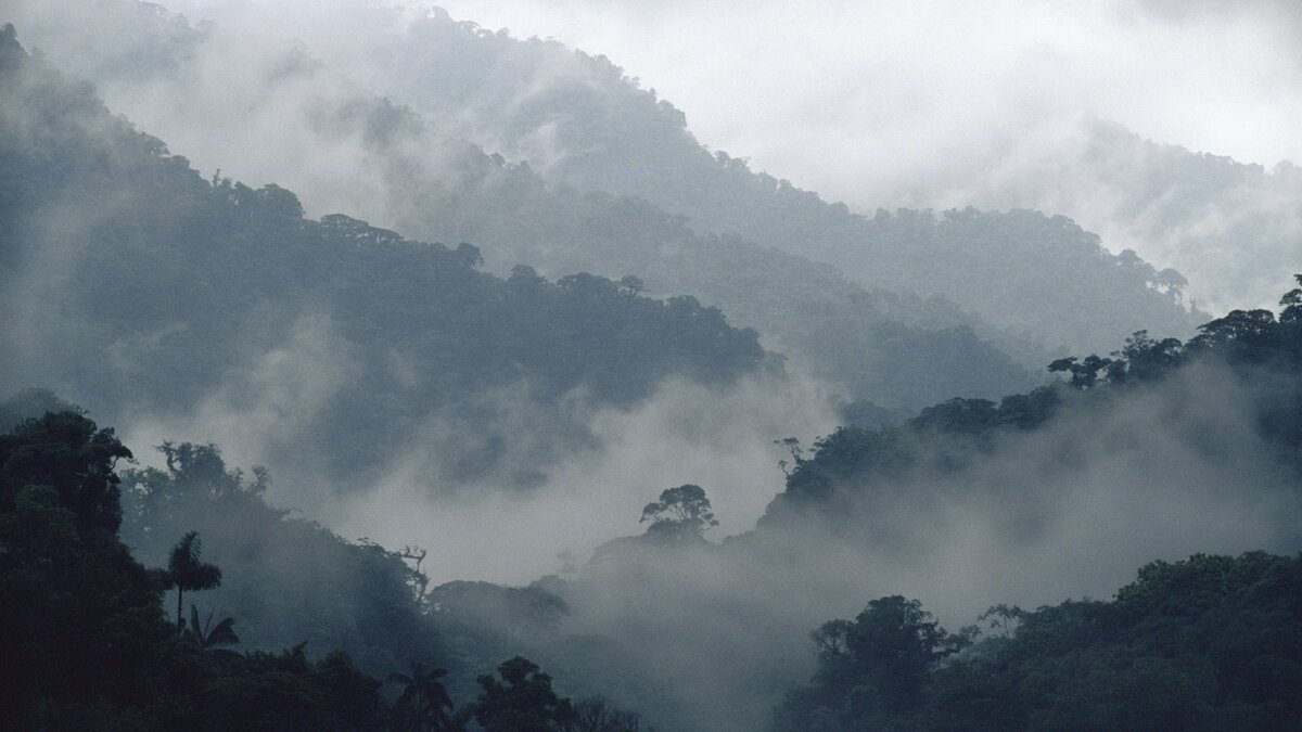 фото взято с просторов интернета, благодарю автора за снимок