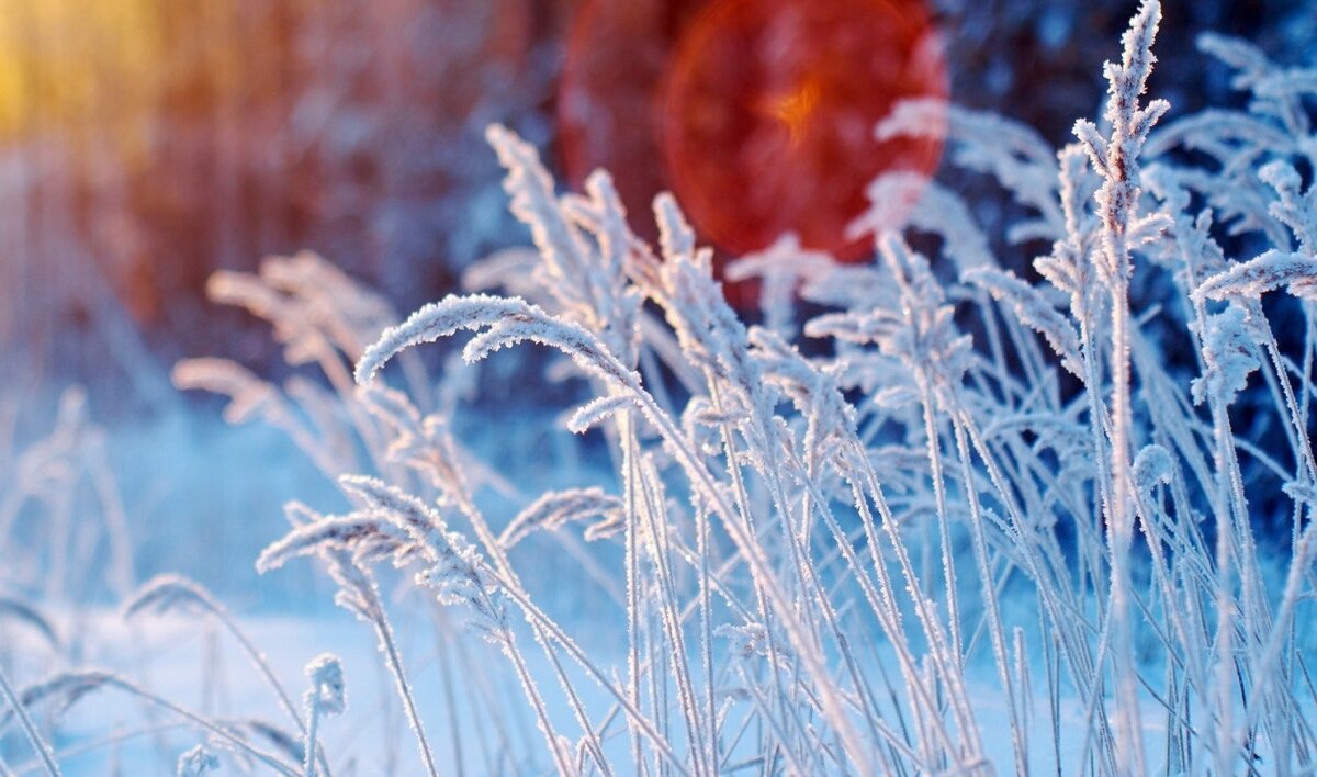 фото яндекс картинки