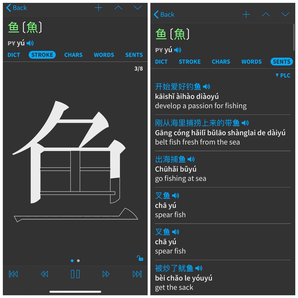 Интерфейс приложения Pleco на Iphone