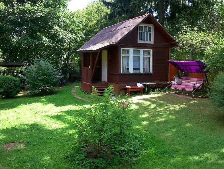 Изображение из интернета 