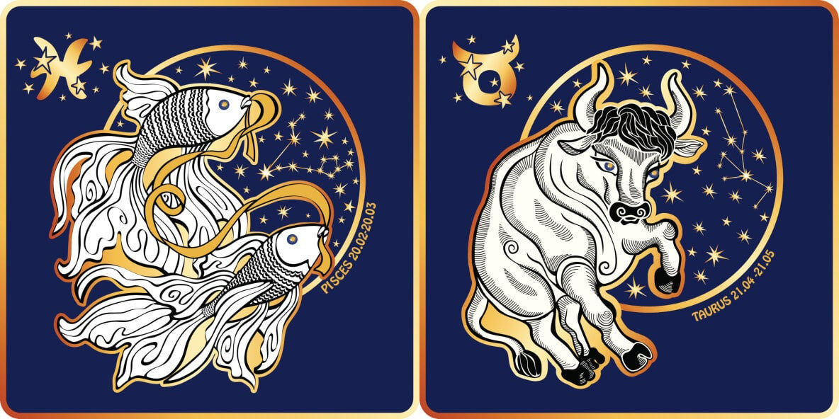 Совместимость по Венере Рыбы-Телец. Источник: Я.Картинки.