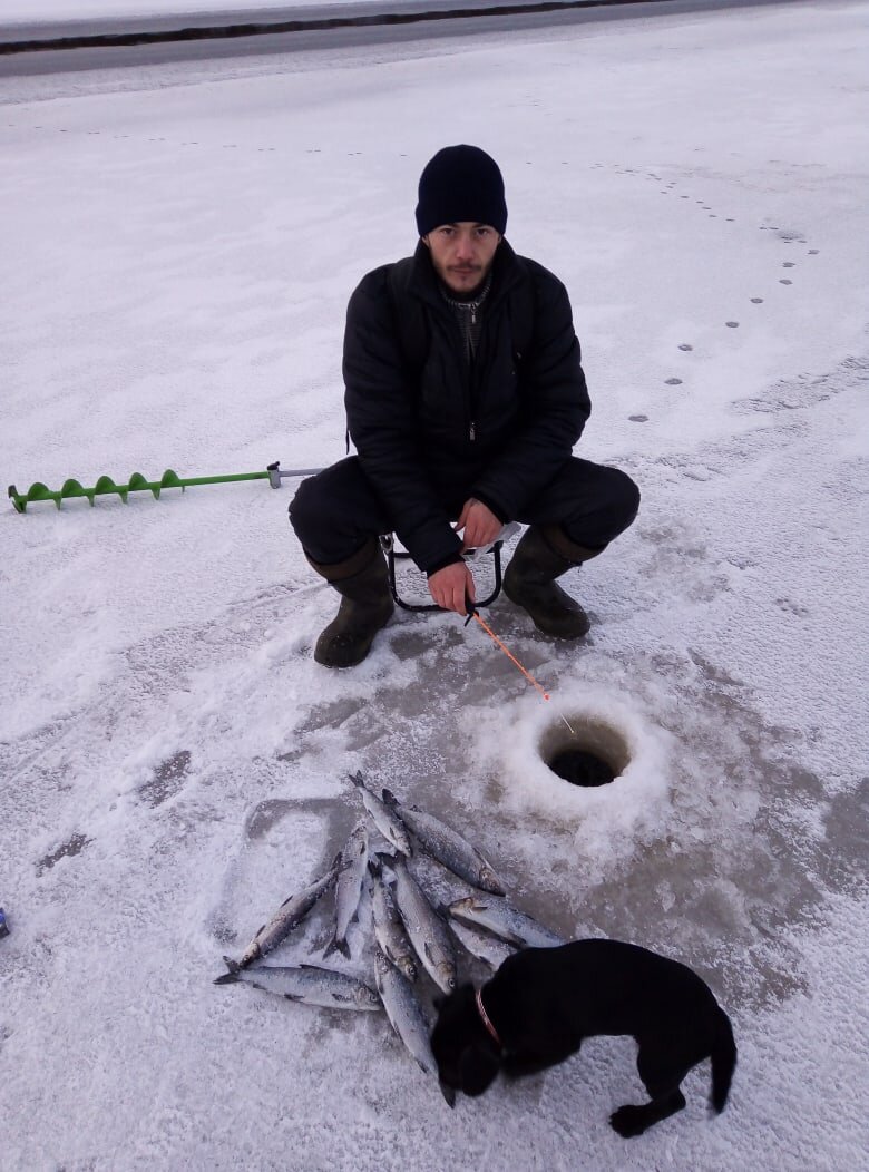 На реке Сума в Беломорском районе Карелии. Фото взято здесь https://vk.com/fishing.karelia