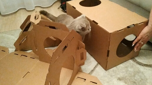 Сделай сам: смотрим видео и мастерим дом для кошки из картонной коробки