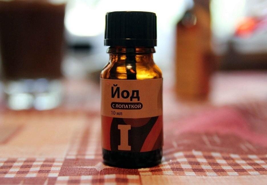 фото из интернета