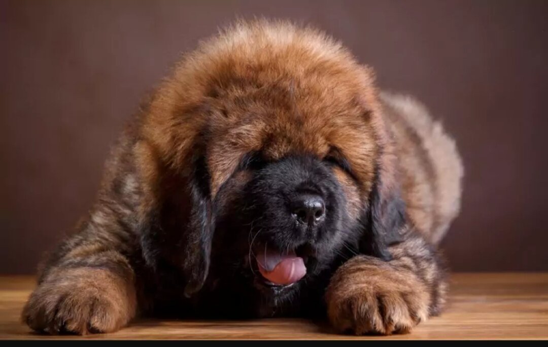 Фото с fonstola.ru