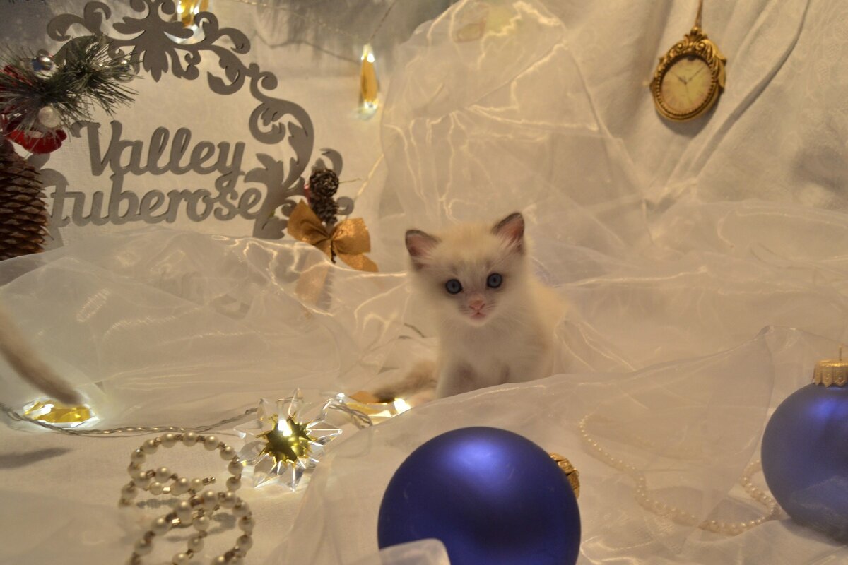 Мои первые наивные попытки)) Сейчас даже забавно))