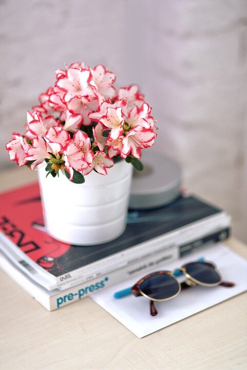 фото с pixabay.com