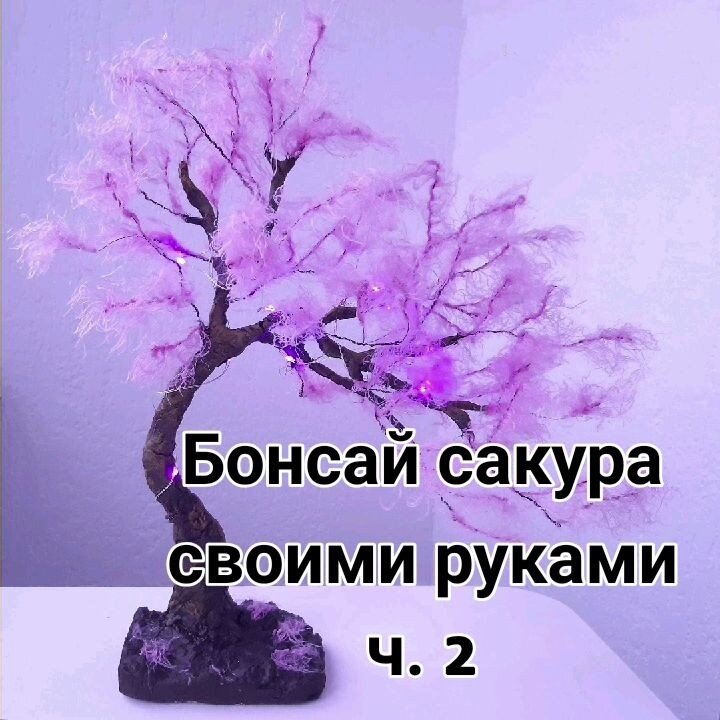 Как сделать бонсай своими руками. Фото автора