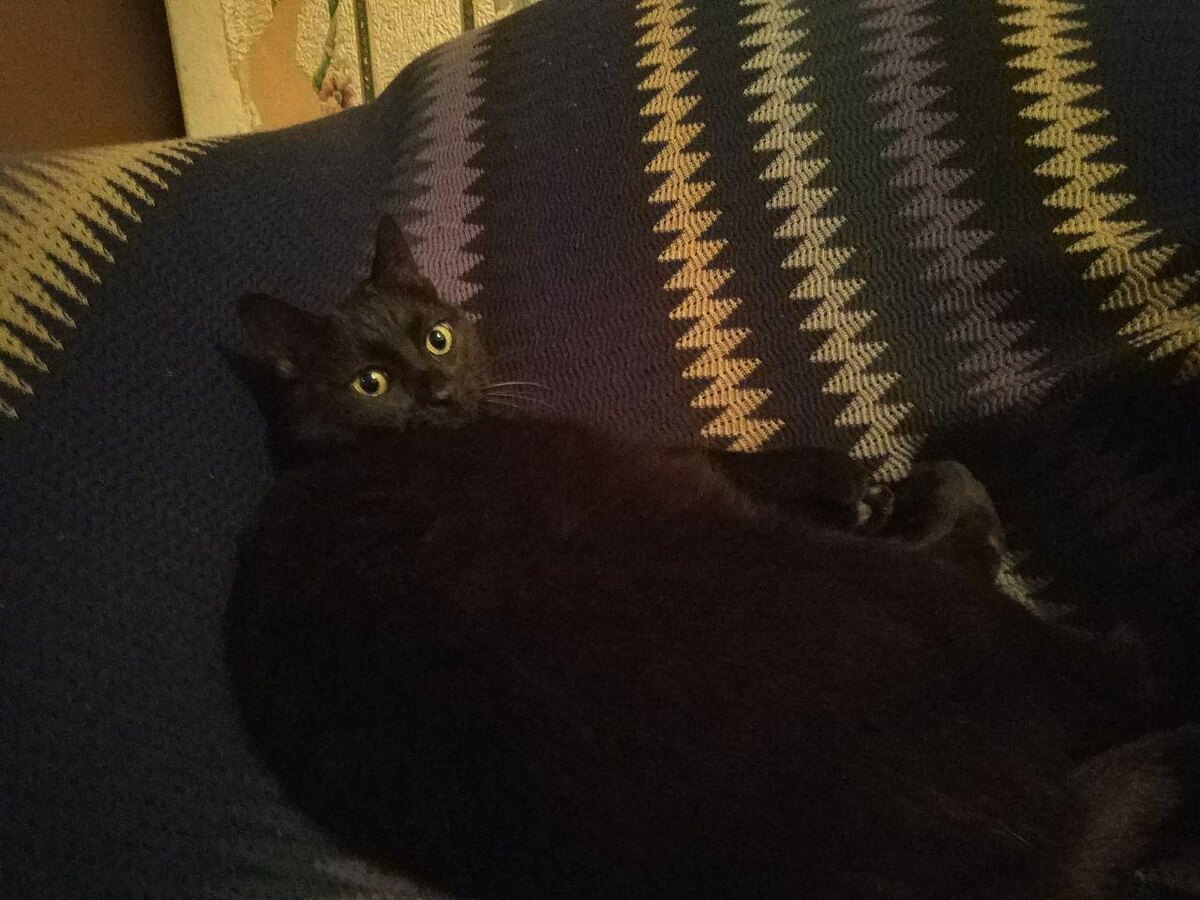 Источник вдохновения для этой статьи