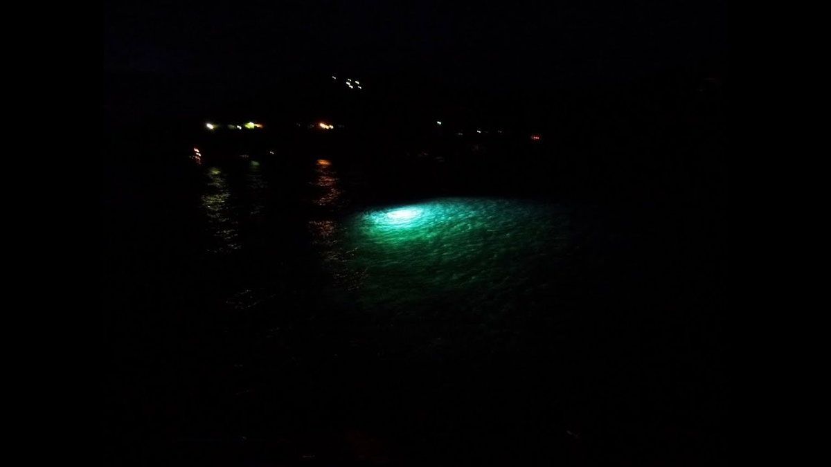 Свечение на Байкале. Фото из открытых источников ЯндексКартинки