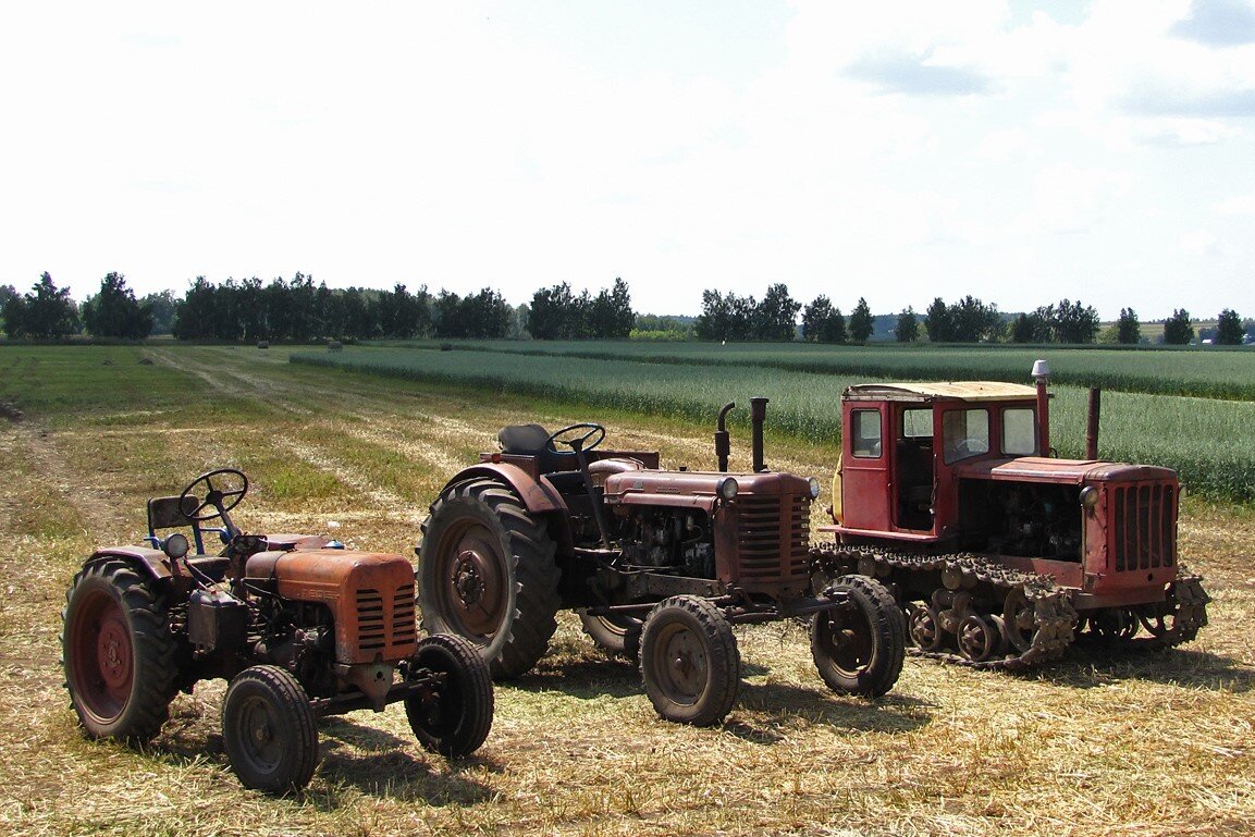 Фото из Яндекс Картинок