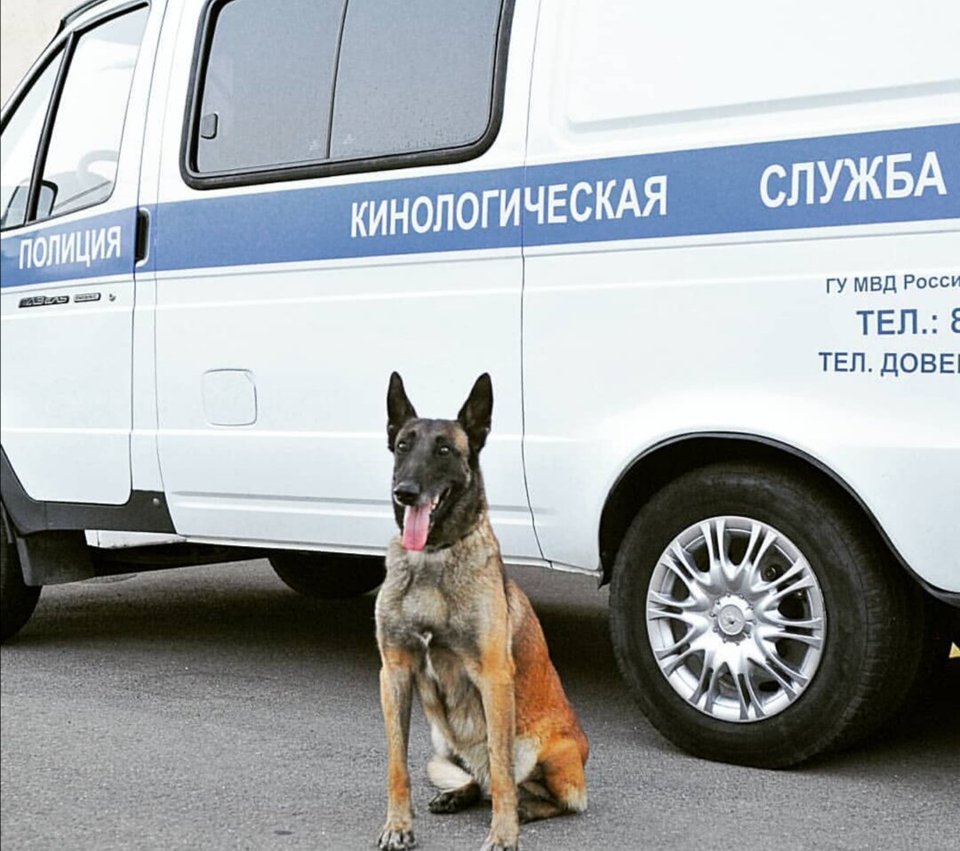 Флора на работе
