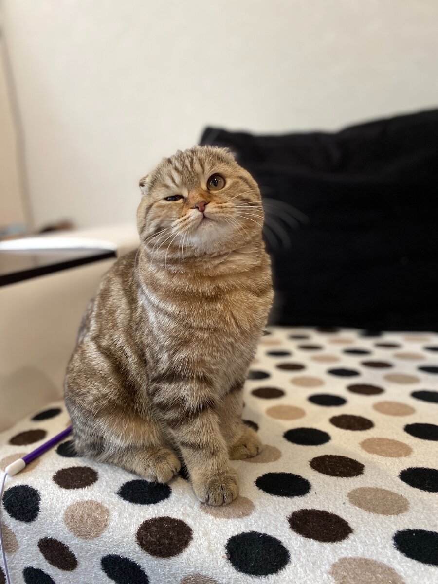 Когда на работу, хозяйка?