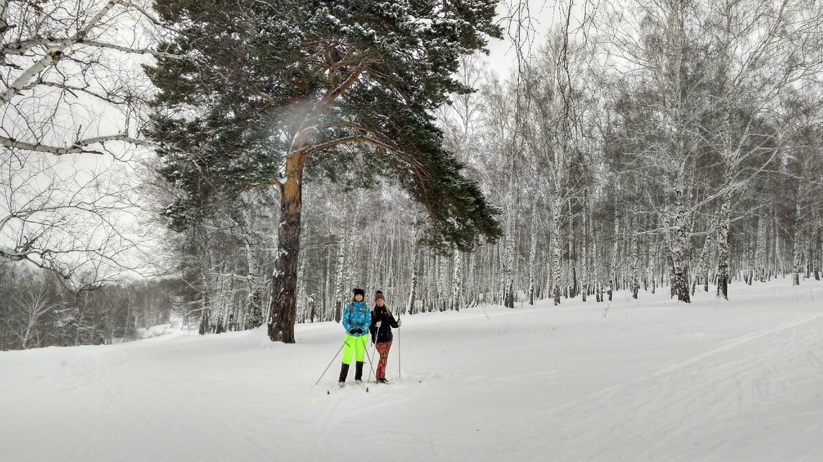 15 декабря 2019