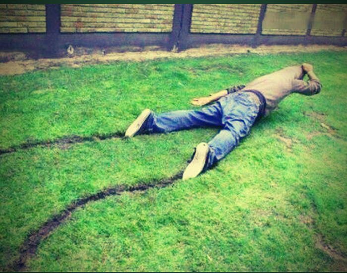 Яндекс. Картинки