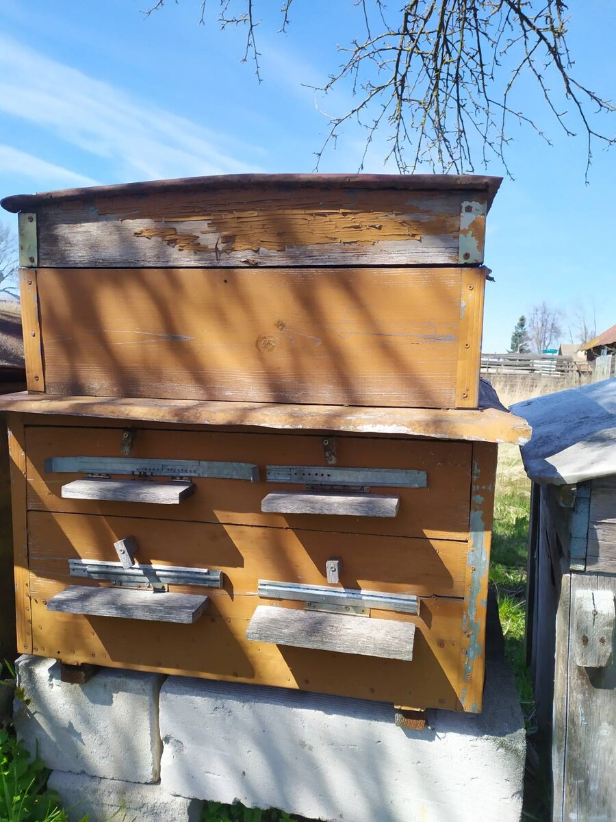 Улей нуклеус с 4 летками