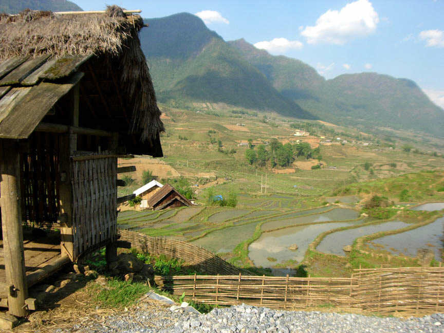 Изображение из открытых источников Яндекс.