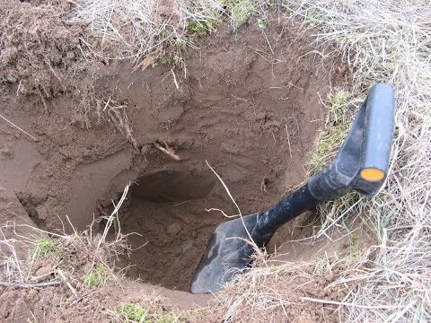 Обычно такие ямки остаются после находок больших железок
