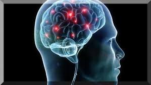 Я мыслю, значит, существу.