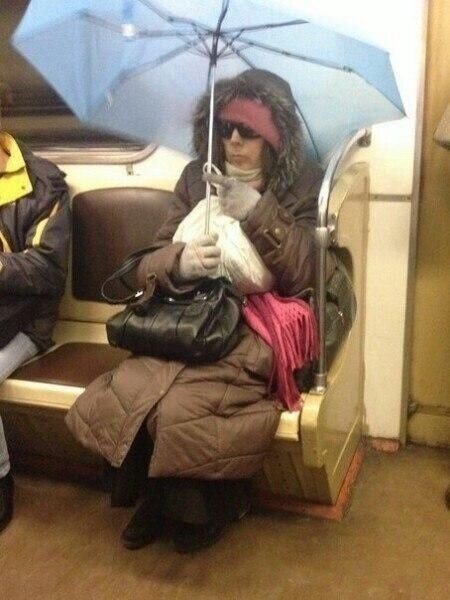 Фото взяты из свободных источников в интернете.