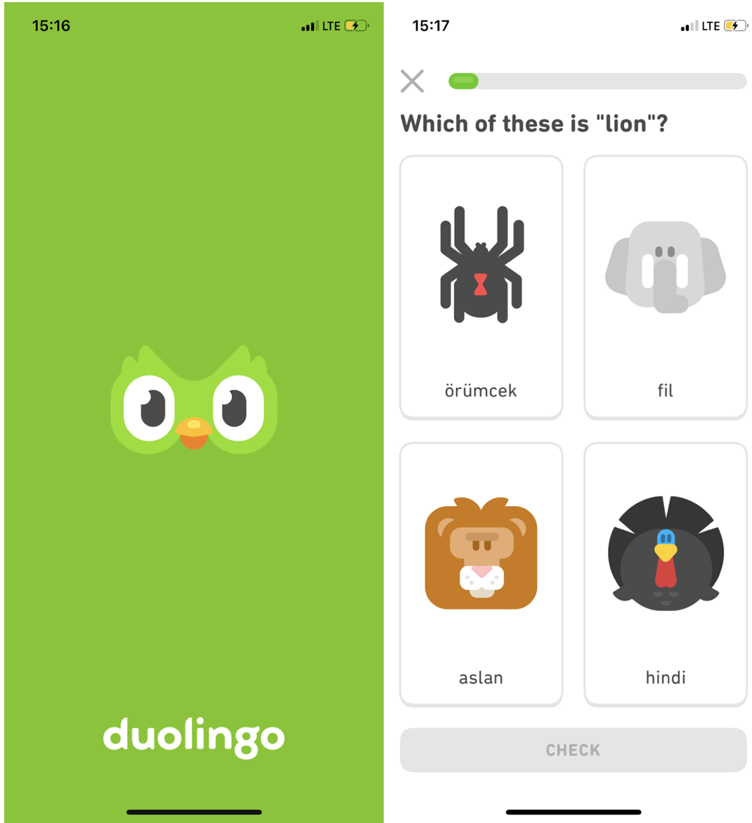 Создатель дуолинго. Дуолинго. Мобильное приложение Duolingo. Значок Дуолинго. Дуолинго рисунок.