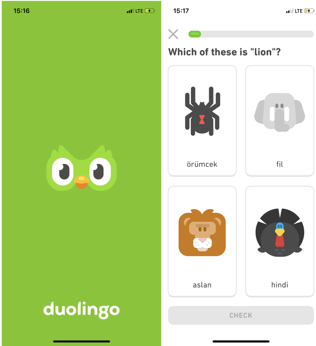 DuoLingo VS Учебник - отзыв | Julia English PRO | Дзен