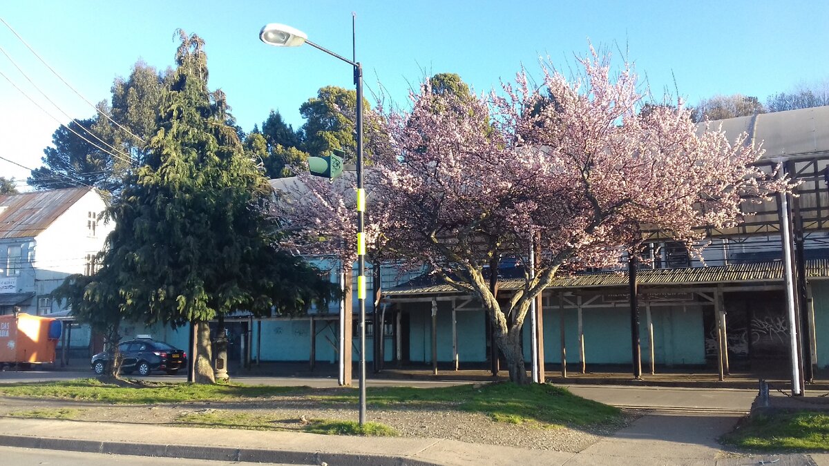 Остров Кальбуко