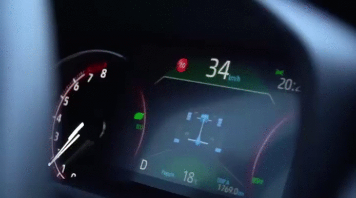 За рулем Тойоты RAV4.Лиса Рулит