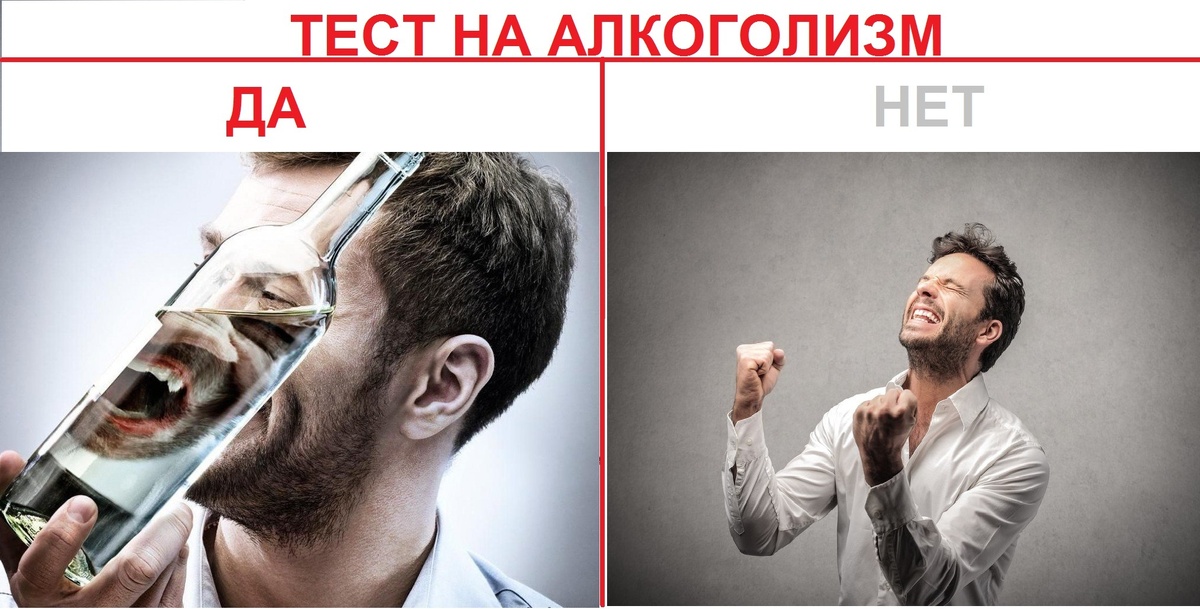 Ответьте ДА или НЕТ на вопросы