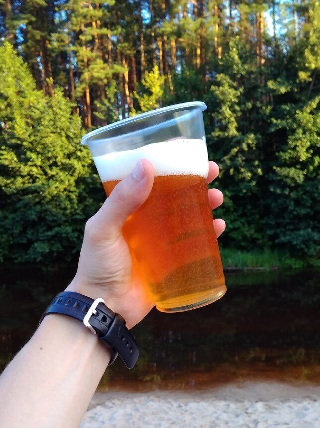 Punk IPA от Brewdog версии 2020 года на р. Линда