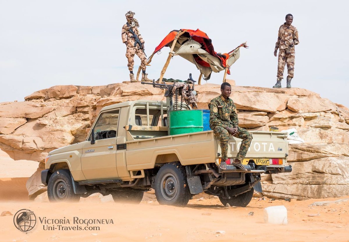 Источник: https://rogotneva.ru/articles/afrika/tanki-v-sahare/